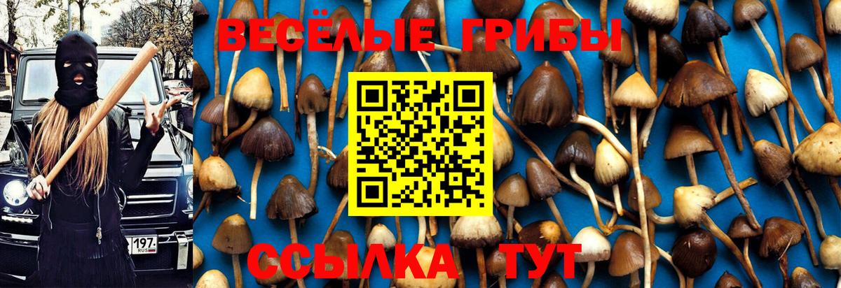 Псилоцибиновые грибы мухоморы Ивантеевка